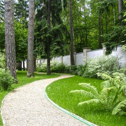 Дизайн лесного участка - садовая дорожка из гравия